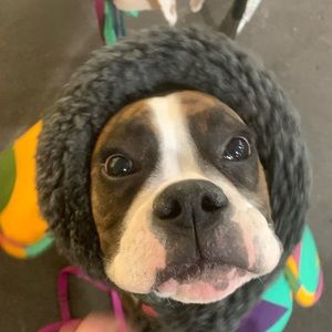 Meet your Posher, Willow